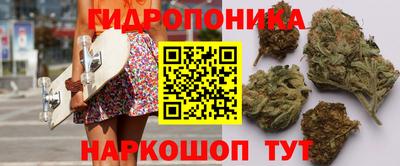 2c-b Камень-на-Оби