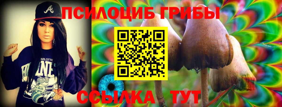 Галлюциногенные грибы Magic Shrooms Гусев